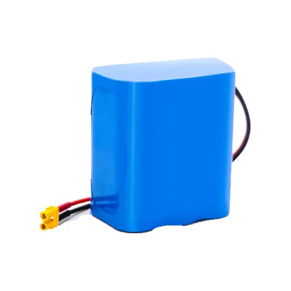 Batterie 11,1 V 10 Ah